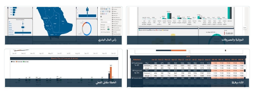 ذكاء الأعمال